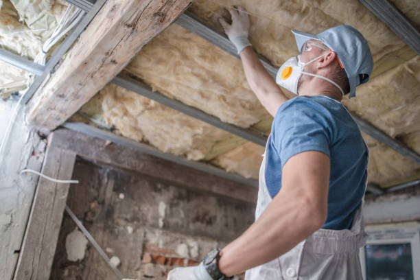Best Geographic-Specific Insulation Services in Crescent City, FL