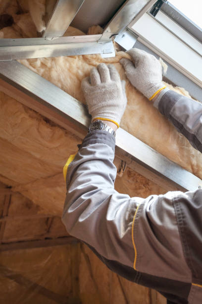 Best Eco-Friendly Insulation in Crescent City, FL