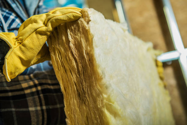 Best Residential Insulation in Crescent City, FL