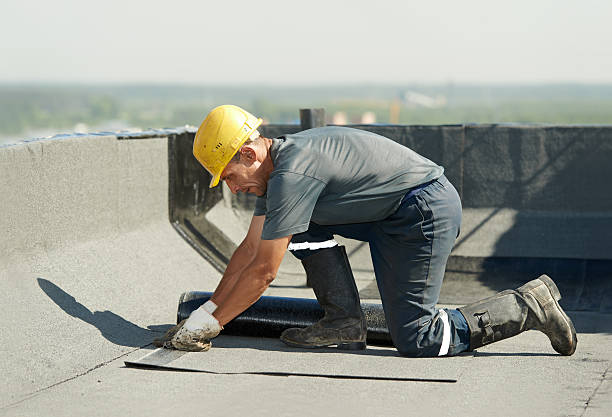 Professional Insulation Contractor in Crescent City, FL