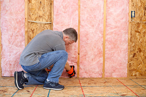 Best Blown-in Insulation in Crescent City, FL